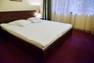 Отель Hotel Panoramic Рымнику-Вылча Двухместный номер с 1 кроватью или 2 отдельными кроватями-9