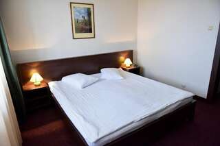 Отель Hotel Panoramic Рымнику-Вылча Двухместный номер с 1 кроватью или 2 отдельными кроватями-18