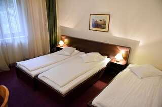 Отель Hotel Panoramic Рымнику-Вылча Трехместный номер-2